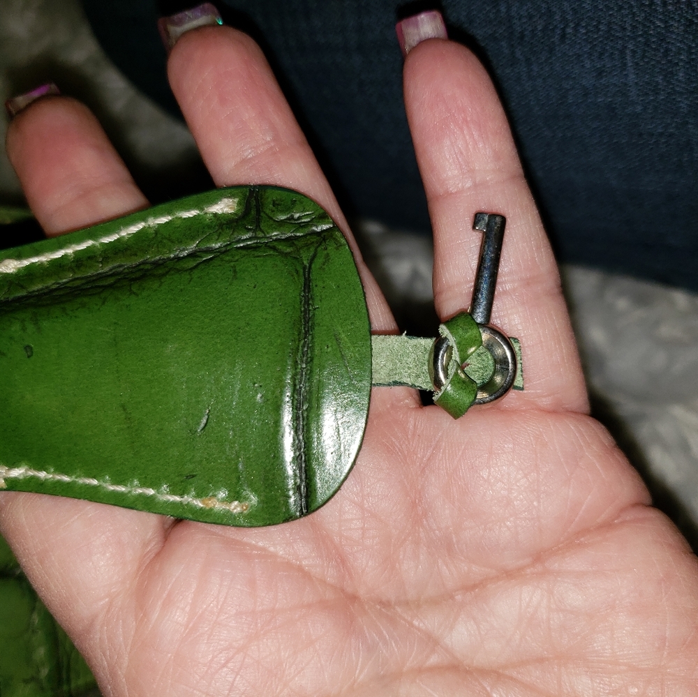 Dooney & Bourke Green Mini Bag - Picture 10 of 11